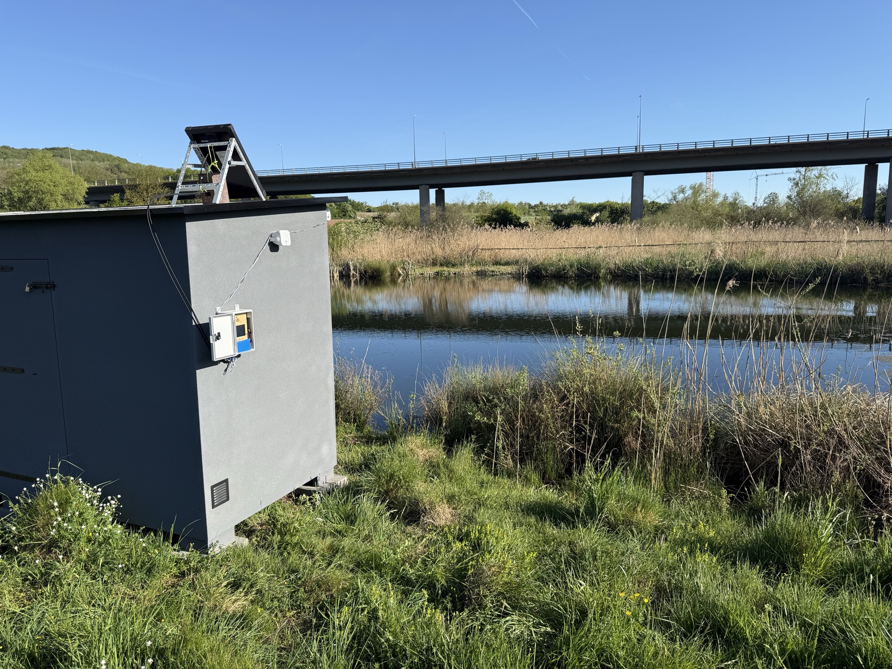 Orpheus deployed at the Schlammwiss ringing station in Luxembourg